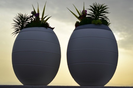 Mes dernieres volontes